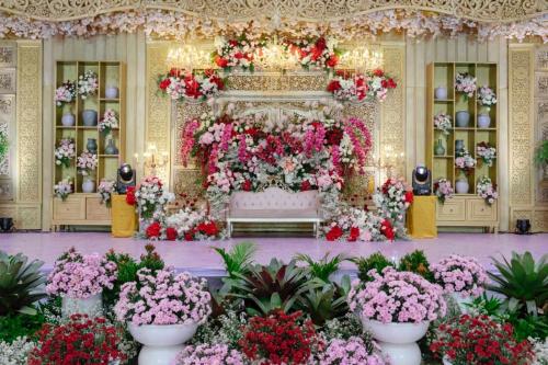 Photo-DKD-005